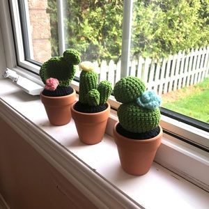 Handmade Crochet Cactus (set of 3)